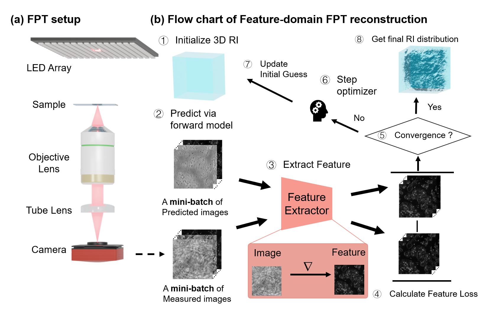 Feature-domain Fourier ptychographic tomography framework